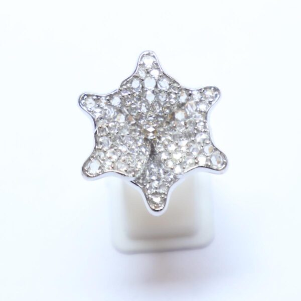 Diamond Studded Ring with Rosecut - Image 3