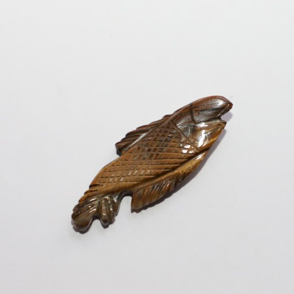 Tiger Eye Fish - Image 2