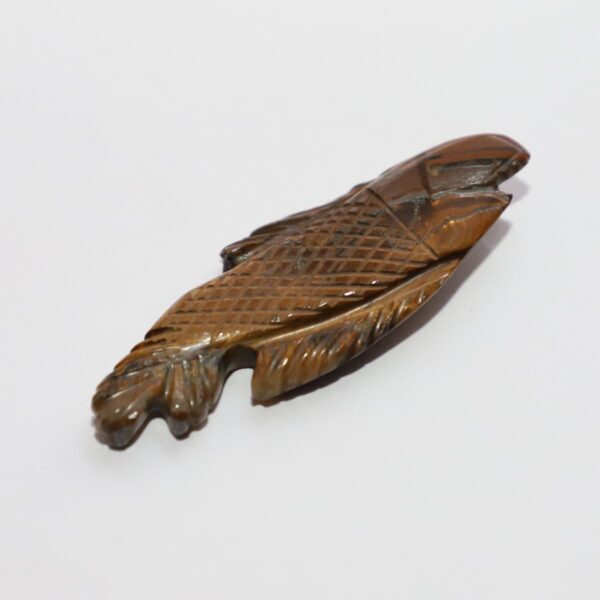 Tiger Eye Fish - Image 3